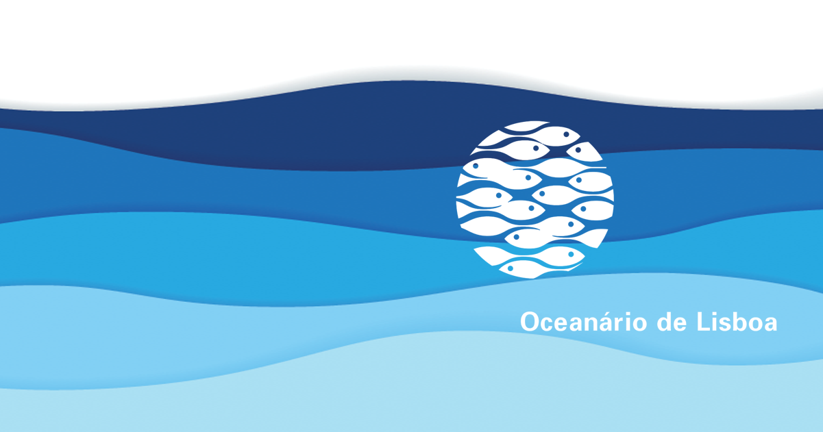 O Oceano e Sustentabilidade