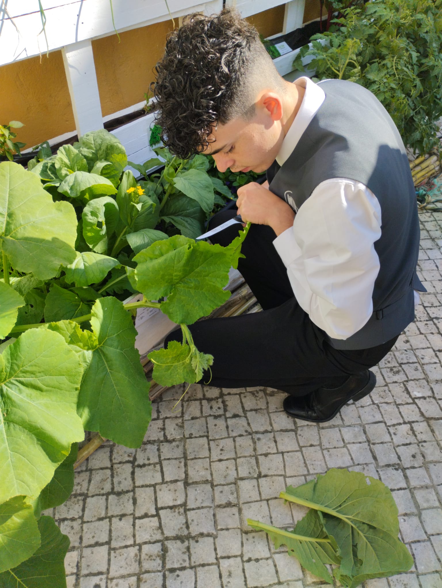 9280c68a-0c93-45fb-bea9-9a0251662dee