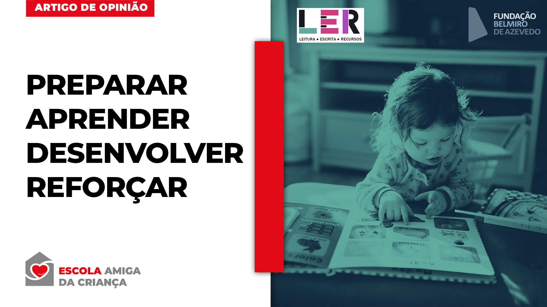 Literacia em Portugal