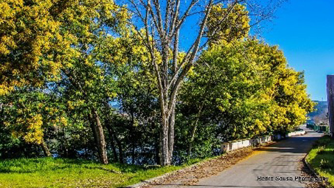 a177f643-32ab-4912-89a1-7d1fd5e98903