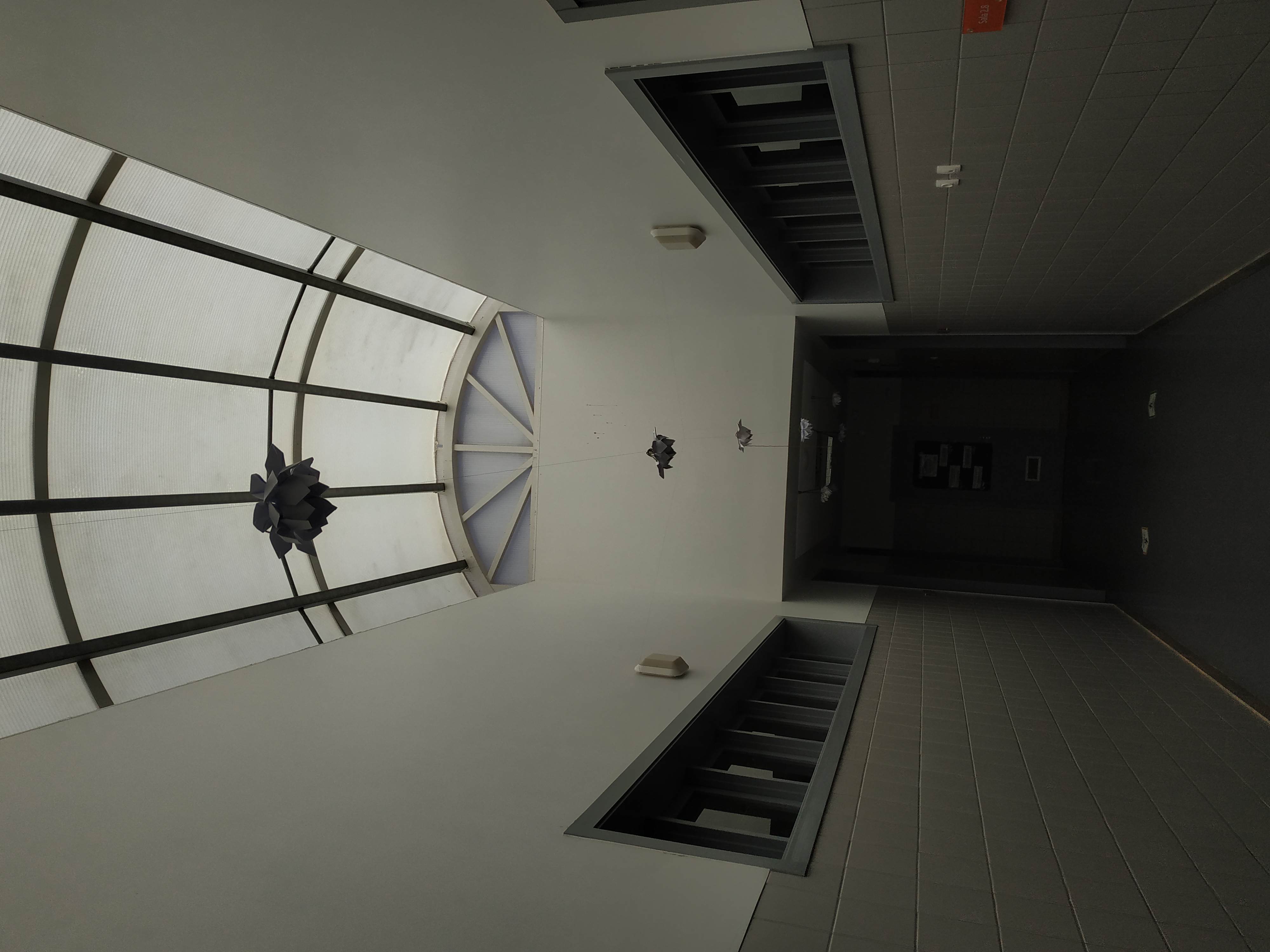 1e36f35d-7798-45f2-810a-f0546ea5a092