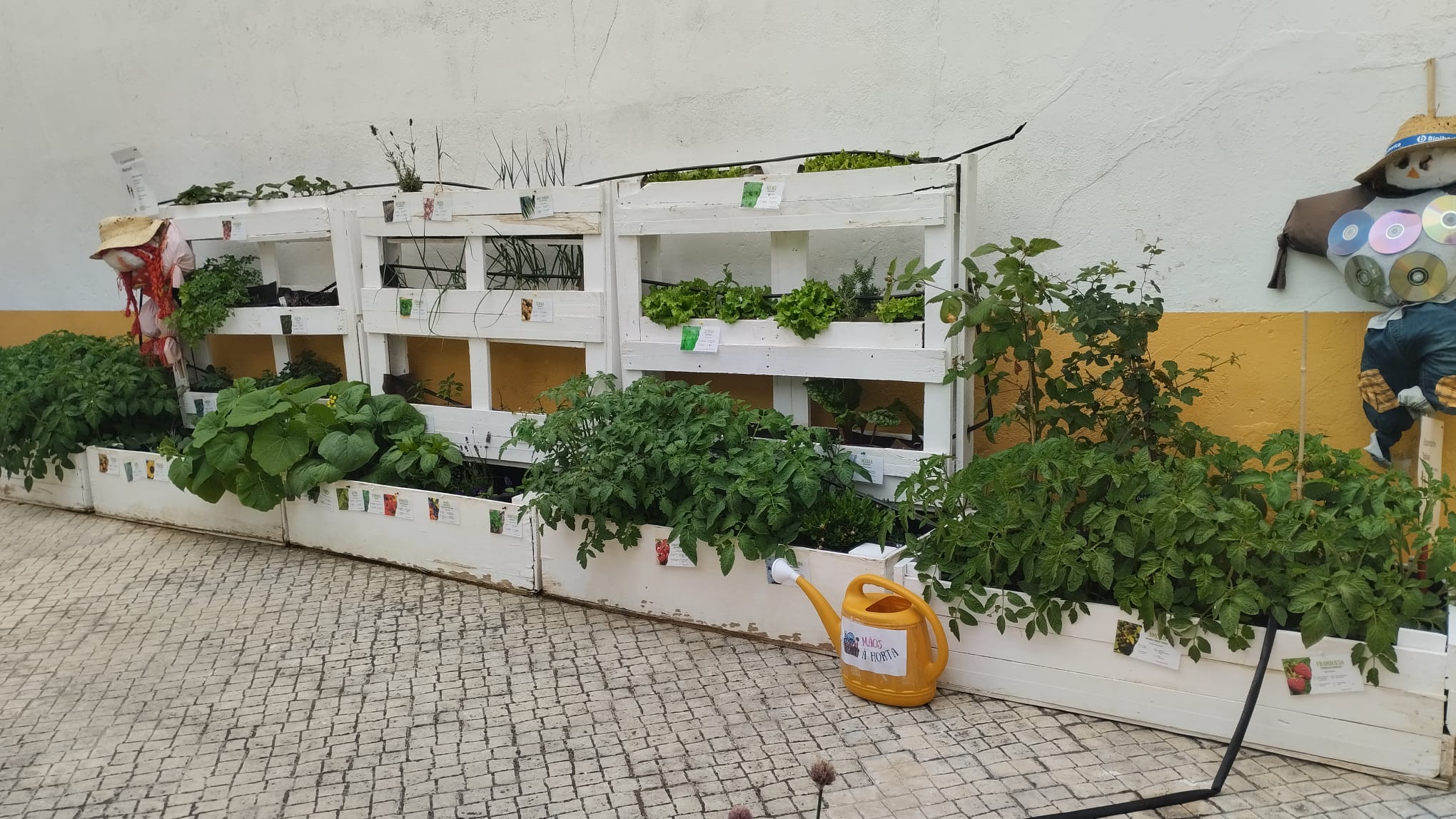 687916db-39dd-49ce-90cf-2fdfdc1672db