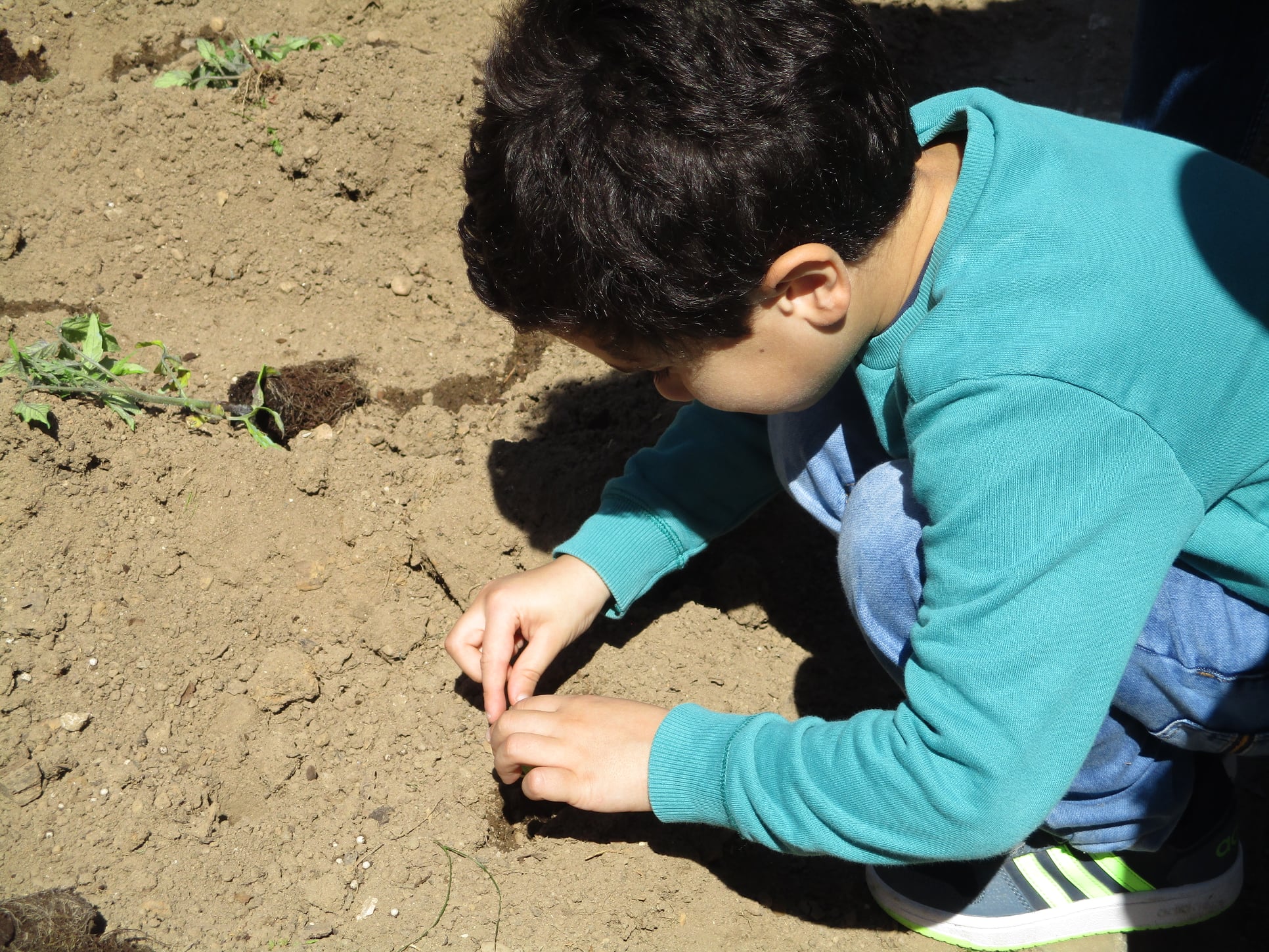 8f4a343e-f3f0-4be0-b4d2-558ed6b3d514