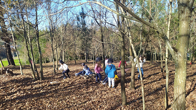 c79efa63-8ce3-47e5-abc2-de7a183597b5