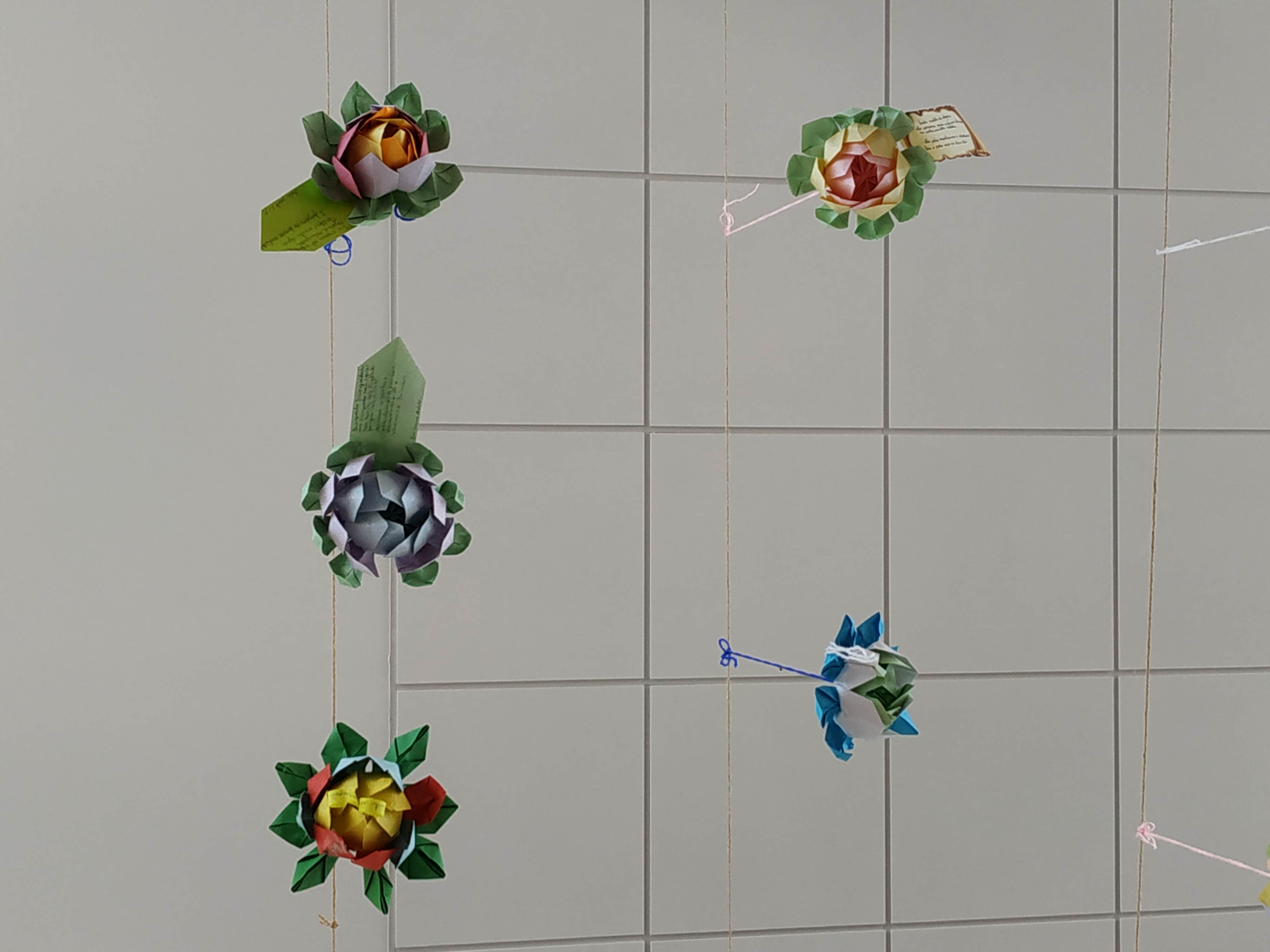 03851e6b-f2c1-469a-905f-807bacd1e907