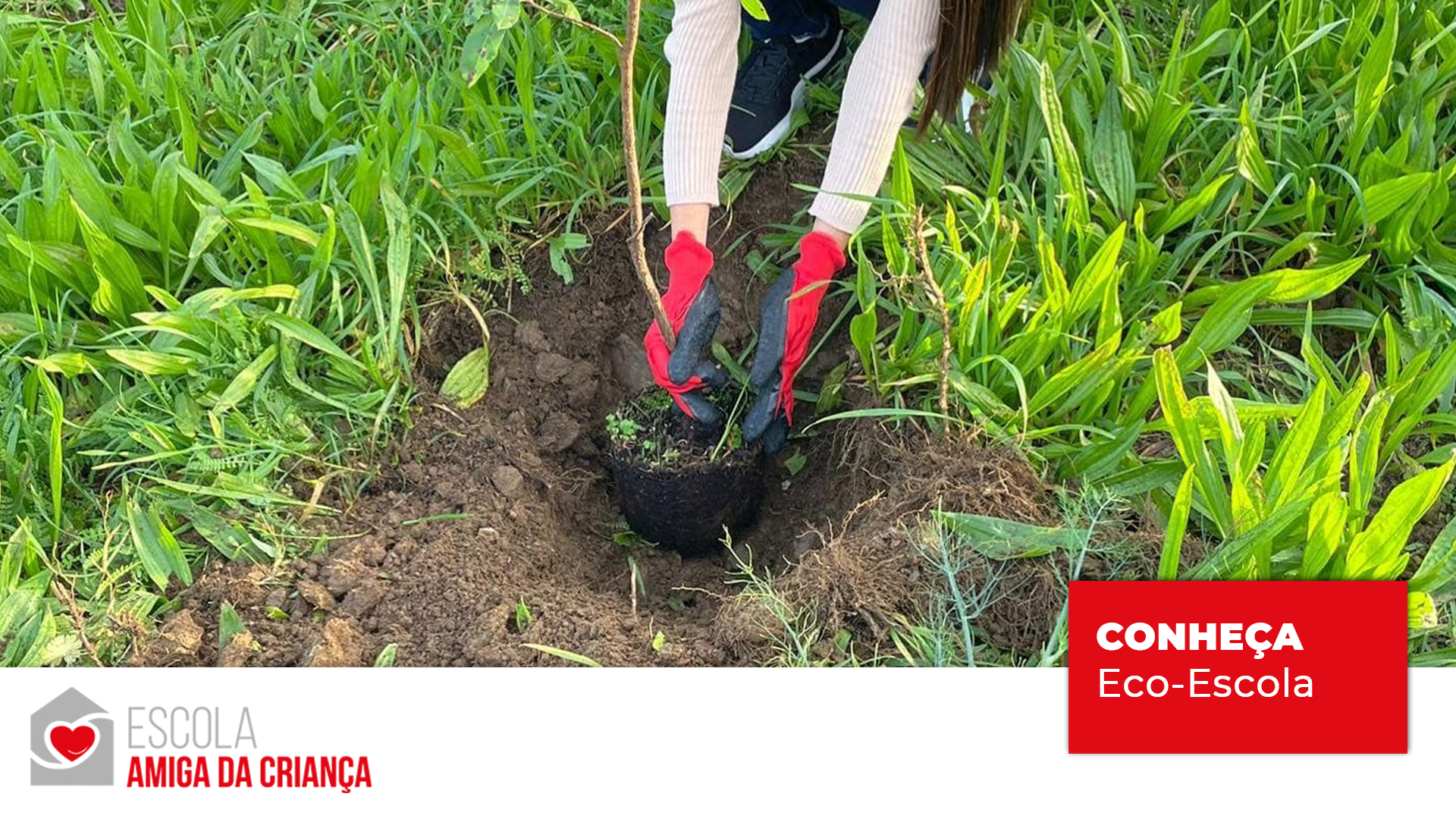 Projeto: Eco-Escolas da Escola Europeia de Ensino Profissional.