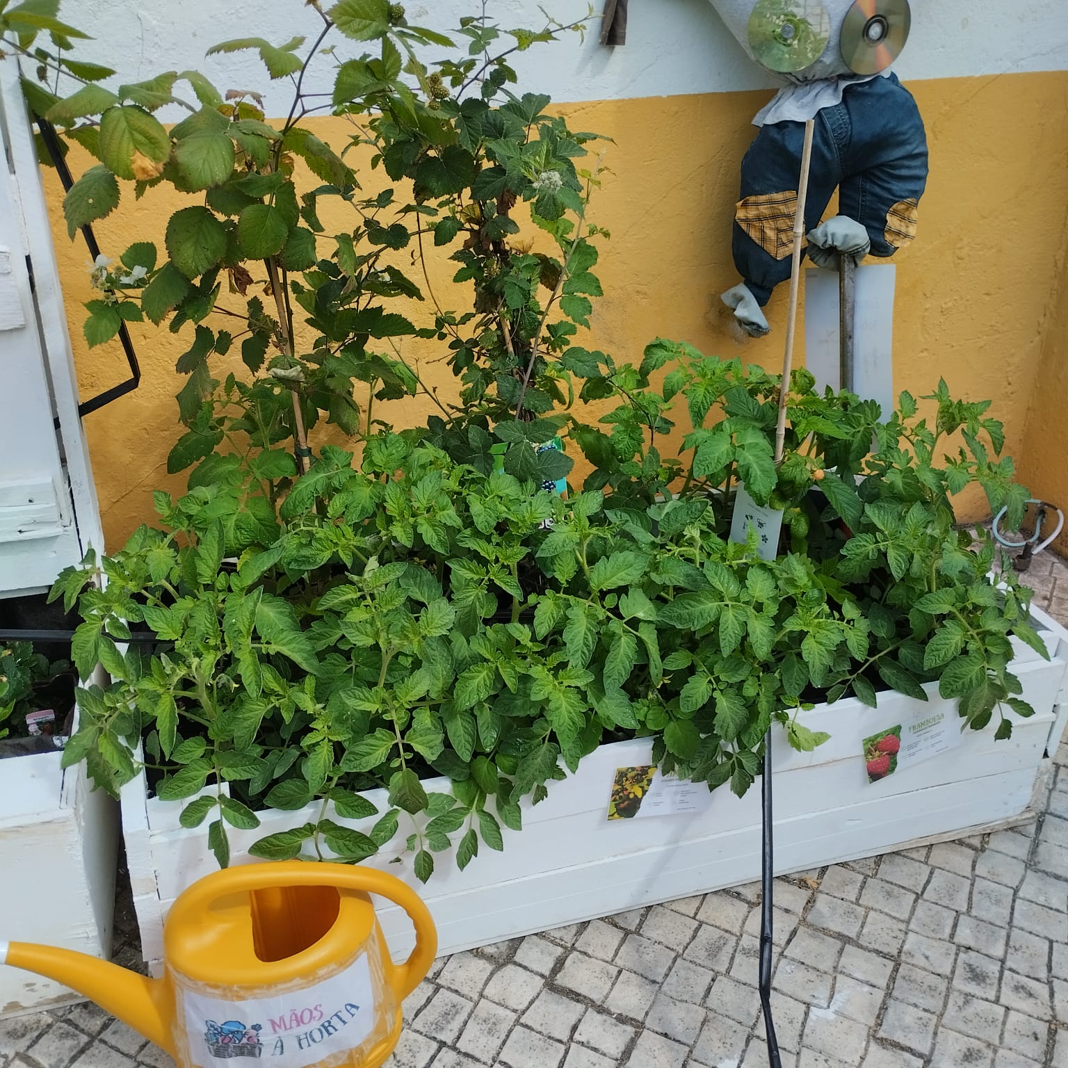 6ac8bead-d46e-48e8-aa61-f9106a5a5fe6