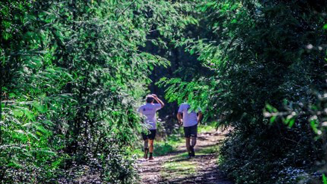 fc036c50-66e9-4e35-b9e1-9ce5f931ec6d