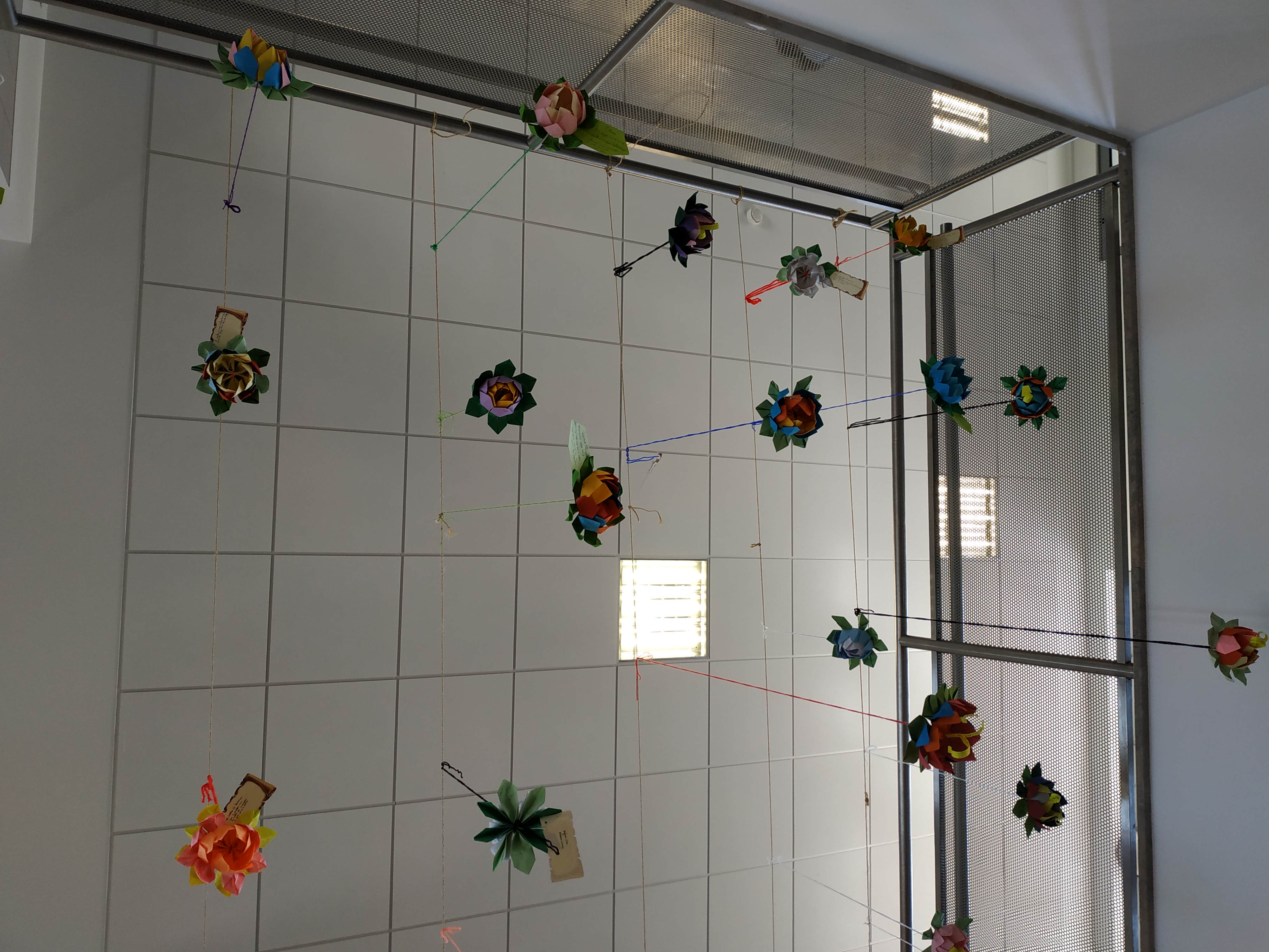 14f7ace6-2fc0-442e-a560-19a16ba22662