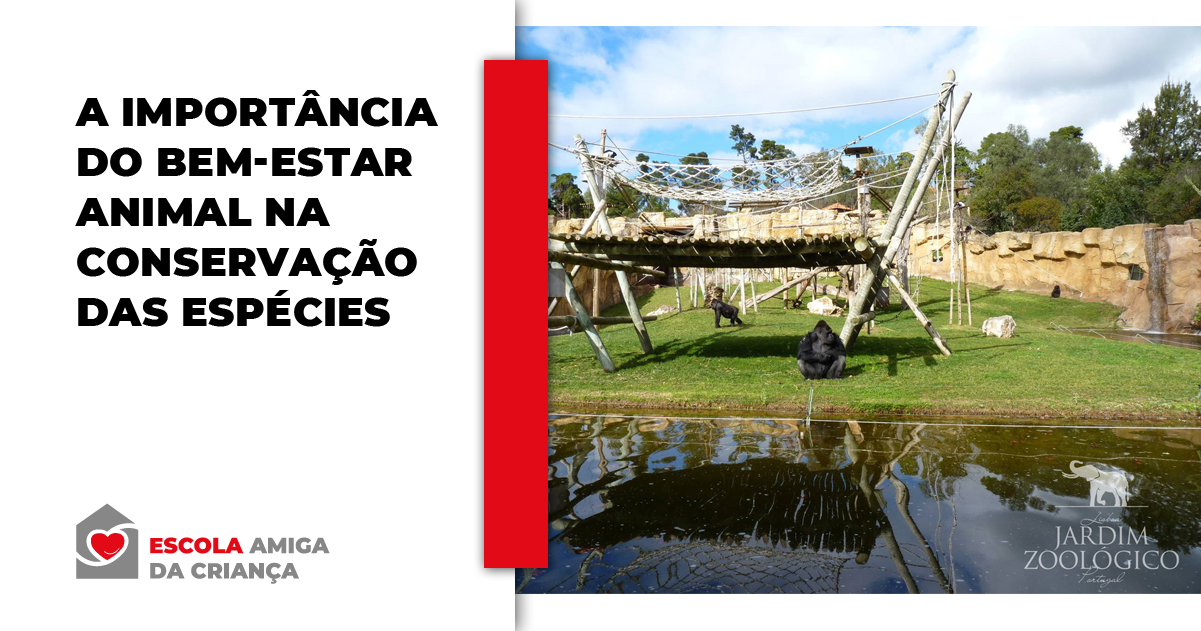 A importância do bem-estar na conservação de animais selvagens
