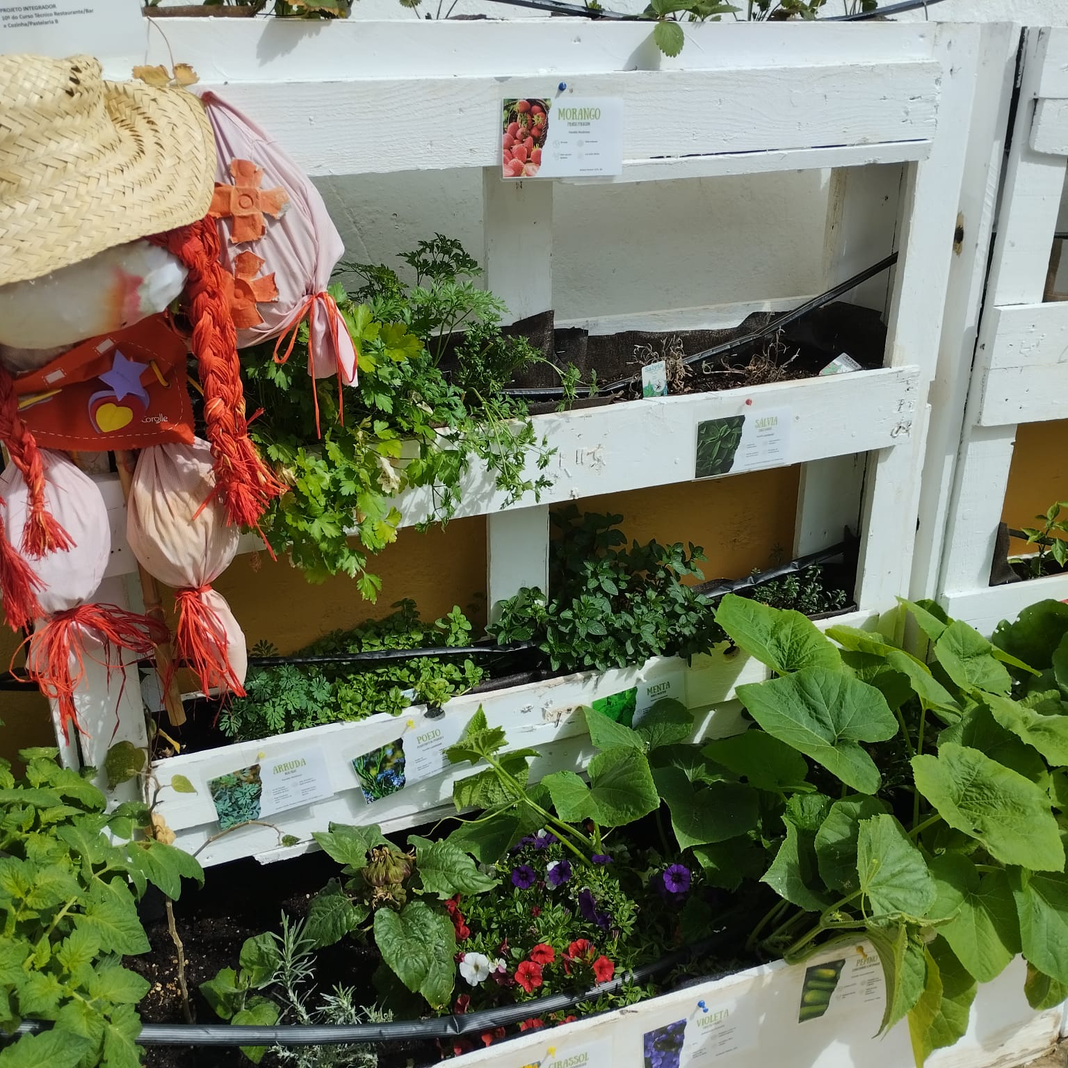 2ed0d06e-676b-4b84-8f7a-c696d032b5b6